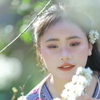 nhạc nền - giaitricuatoi