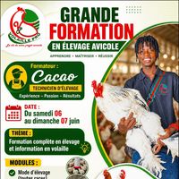 cacaodemaman