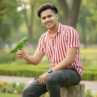 original sound - anarul_20