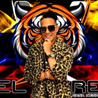 eltigredjdevenezuela