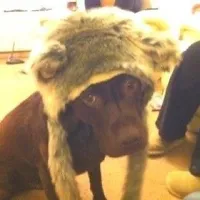 original sound - lyr1cs4x