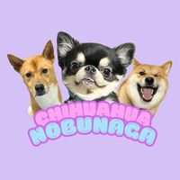 オリジナル楽曲 - チワワの、のぶなが【飼い主と犬がおもしろすぎる】