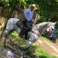erickabarca11