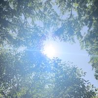 tetsurou_kurokawa1