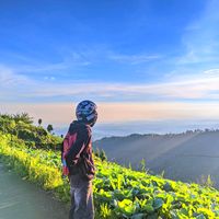 suara asli - N