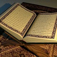 user909016713