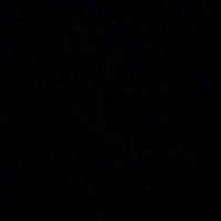 briss_.rt