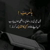 nawab.zadi303