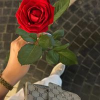 userrrrr246890