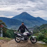 suara asli - Tiger BakulKrupokk