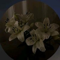 mina_yazein
