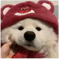 yuiuchl98_