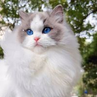 minou5347