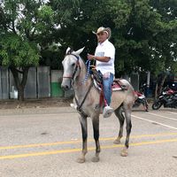 oscarsalcedo99
