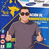 alfaelectro1
