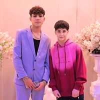 mm_al96