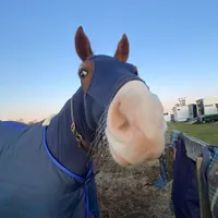 original sound - user2123793