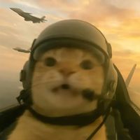 leonnf_