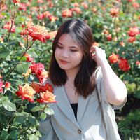 nhạc nền - Đỗ Ngọc Ánh