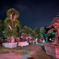 thanhlam678