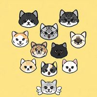 spoiledcatssss
