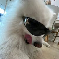 original sound - Ǻĥ Ŵíň🐶