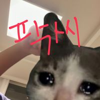 imyeon_s