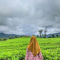 suara asli - rayccuwsya_