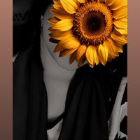 _warrag810