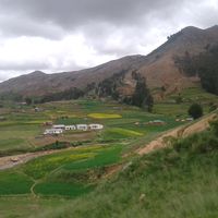 fermintroygallego