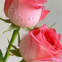 original sound - jahidbegl84gmail.com