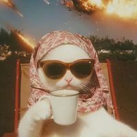 الصوت الأصلي