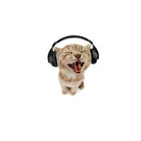isiscat