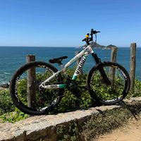 dailydopietro