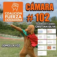 guardiancanino