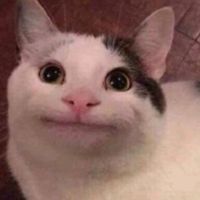 .cat3648
