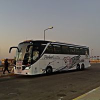 516_.y