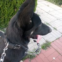 www.polina