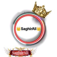 saghirali632