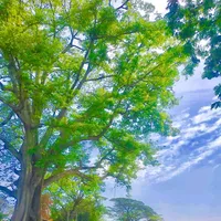 original sound - user9647444229641