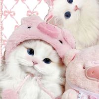 suara asli - riska