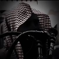الصوت الأصلي