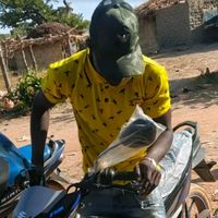 salif.cf5