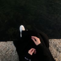 _zeefah