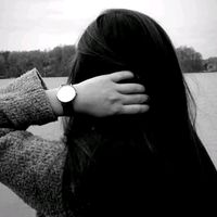 gulo_1335