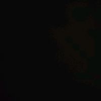 la_negrita407