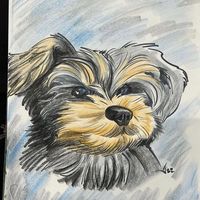 morgan_0053