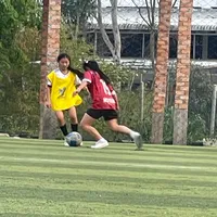 original sound - zoo1078