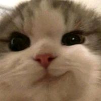 andreiita1.9