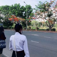 nam.thip212